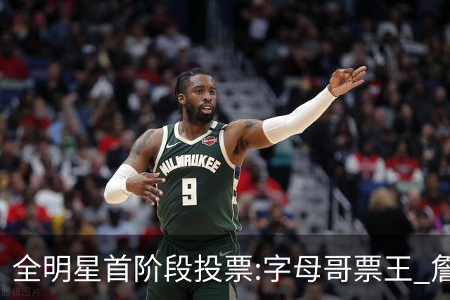 全明星首阶段投票:字母哥票王 詹姆斯西部票王